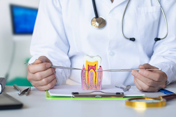 Best Pediatric Emergency Dentist in Suncook, NH